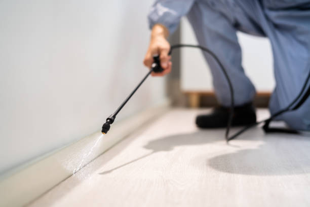 Licensed Cockroach Control service in Holly Hill, FL - Nex Pest Control