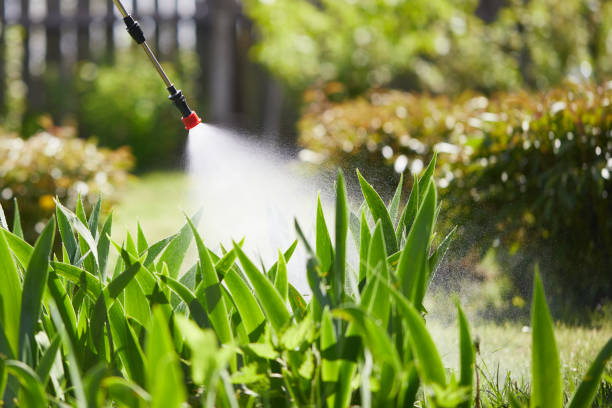 24/7 Emergency Cockroach Control experts in Holly Hill, FL