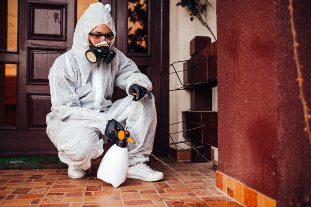 Reliable Cockroach Control contractor in Holly Hill, FL by Nex Pest Control